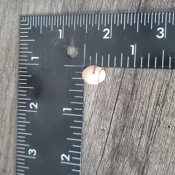 Cream And Brown Striped Bead P321 - Picture 3 of 3